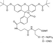 6-Fluorescein Serinol Phosphoramidite product image