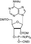 A-TOM-CE Phosphoramidite product image