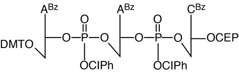 AAC Trimer Phosphoramidite product image
