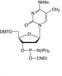 Ac-5-Me-dC CE Phosphoramidite product image