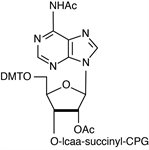 Ac-A-RNA-CPG product image