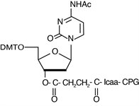 Ac-dC-CPG 500 product image