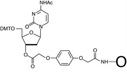 Ac-dC-Q-CPG 500 product image
