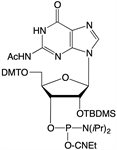 Ac-G-CE Phosphoramidite product image