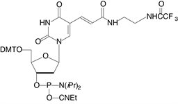 Amino-Modifier C2 dT product image