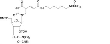 Amino-Modifier C6-U Phosphoramidite product image