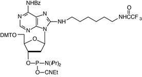 Amino-Modifier C6 dA product image