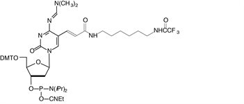 Amino-Modifier C6 dC product image