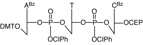 ATC Trimer Phosphoramidite product image
