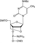 Bz-5-Me-C-LA-CE Phosphoramidite product image
