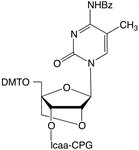 Bz-5-Me-C-LA-CPG product image