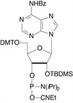 Bz-A-CE Phosphoramidite product image
