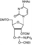 C-TOM-CE Phosphoramidite product image