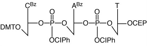 CAT Trimer Phosphoramidite product image