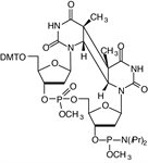 Cis-syn Thymine Dimer Phosphoramidite product image