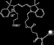Cyanine 3 CPG product image