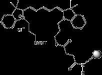 Cyanine 5 CPG product image