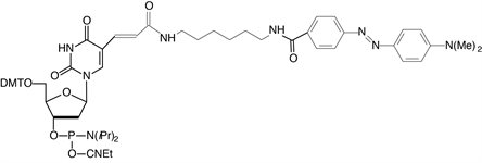 Dabcyl-dT product image