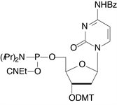dC-5'-CE Phosphoramidite product image