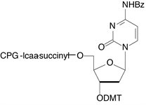 dC-5'-CPG product image