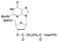 dG-CPG 1000 product image