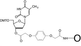 dT-Q-CPG 500 product image