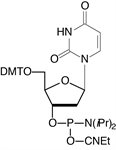 dU-CE Phosphoramidite product image
