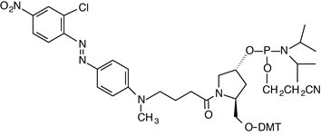 EclipseTM Quencher Phosphoramidite product image