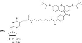 Fluorescein-dT Phosphoramidite product image