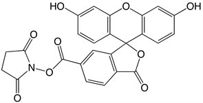 Fluorescein NHS Ester product image