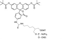 Fluorescein Phosphoramidite product image