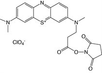 Methylene Blue NHS Ester product image