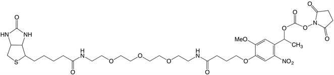 PC Biotin NHS Ester  product image