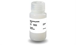 Quenching buffer for Glen-Pak RNA purification product image