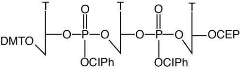 TTT Trimer Phosphoramidite product image