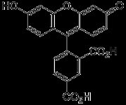 5-FAM     product image