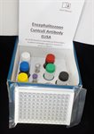 Encephalitozoon cuniculi (EC) ELISA product image