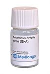 Galanthus nivalis lectin (GNA) product image