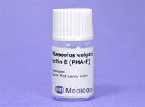 Phaseolus vulgaris lectin E (PHA-E) product image