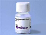 Phaseolus vulgaris lectin P (PHA-P) product image