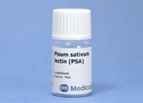 Pisum sativum lectin (PSA) product image