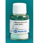 Wisteria floribunda lectin (WFL) product image