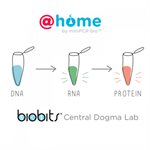 BioBits® at Home- Central Dogma product image
