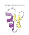 BioBits® Protein Structure and Function  product image
