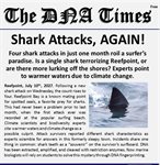 blueGel™ Electrophoresis Lab - Shark Attack product image