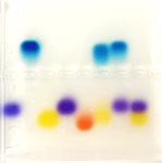 blueGel™ Electrophoresis Rainbow Lab product image