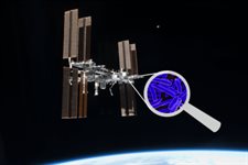 Dye Electrophoresis Lab - Microbe Hunters product image