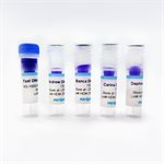 Hemophilia Genetics Lab- X-linked Inheritance  product image