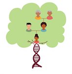 Inherited Cancer Risk - Testing for Lynch Syndrome  product image