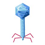 Lambda DNA Restriction Digestion Analysis product image